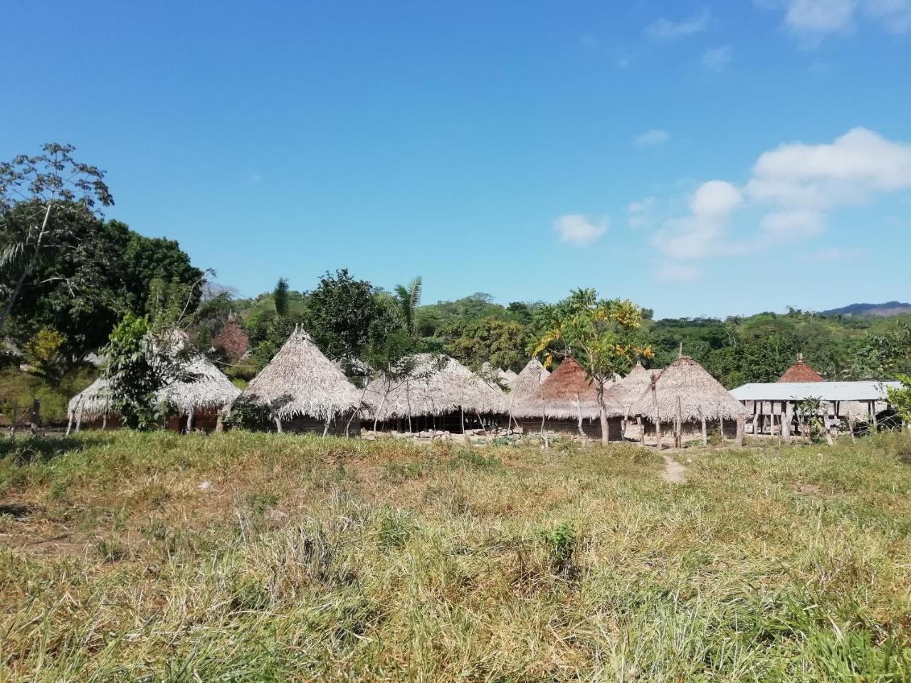 Palomino- Hostel Balneario Rio Ancho Kültér fotó